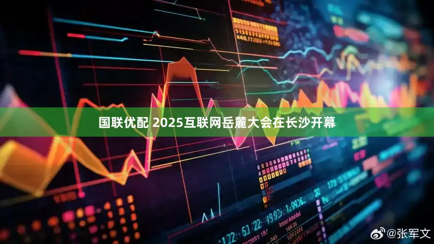 国联优配 2025互联网岳麓大会在长沙开幕